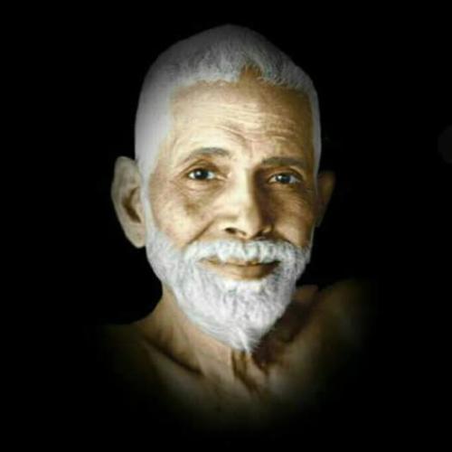 ,     ,           328625073_1312793