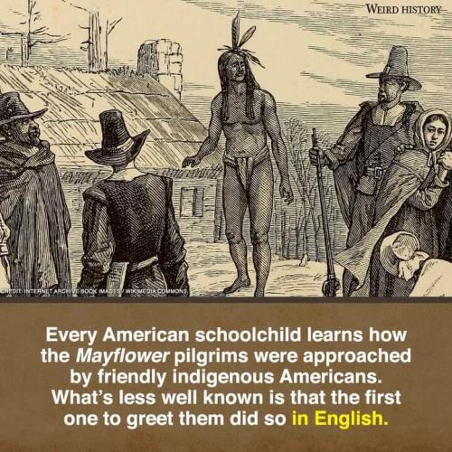 image_8258619A-D680-450C-AB34-7C6F534B1985