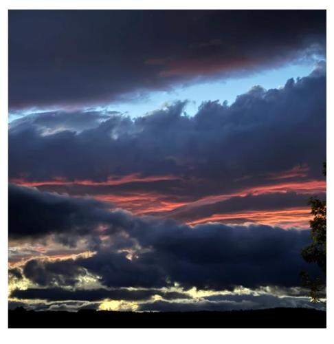 884637f1-3242-4416-bd8e-45f3c26c8642