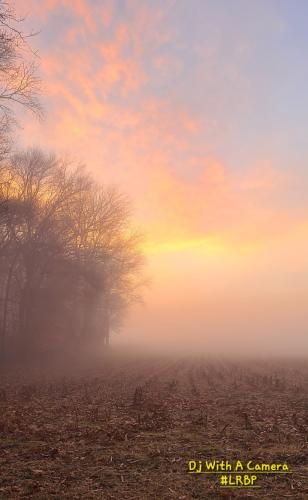 Screenshot_20260205_075248_Gallery