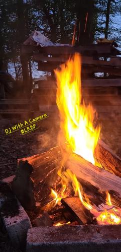 Screenshot_20260209_184946_Gallery