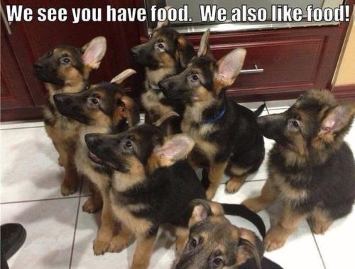 81f2ff081598362aa60aaed25dc4daa9