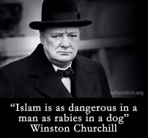 17573750872296337996883822520176_382634177837365