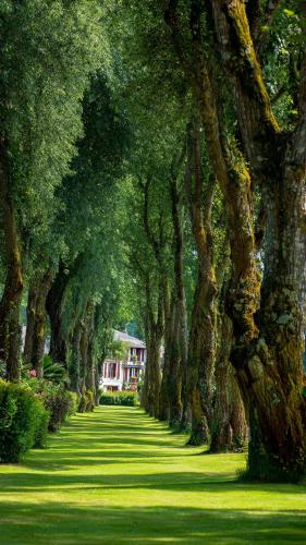 643418788_34071234909186429_2485413897249169162_n