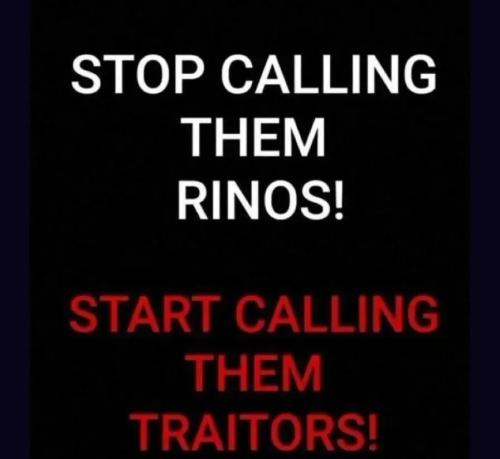 17718438179274520559703559102204_1072847881842820