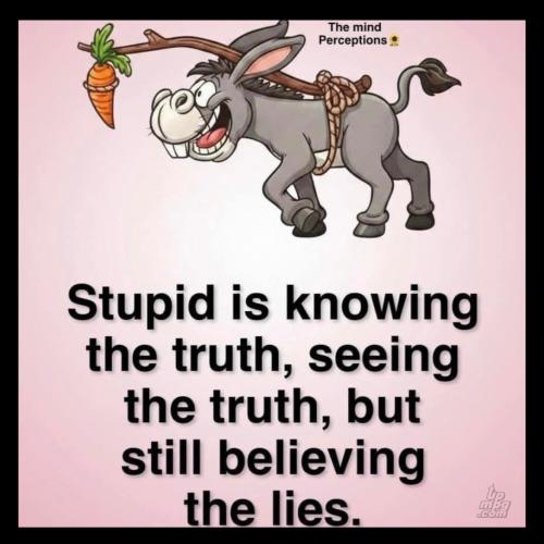 main-qimg-a22670a6ffb3f939af35d22de45c1ee2