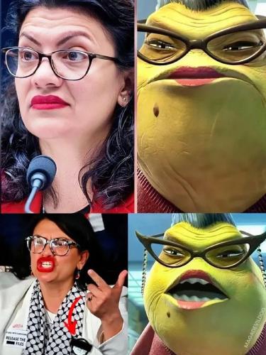 17721920802802393599861068419548_1290786395937652