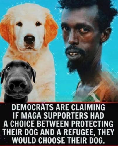 3be60951-f0f7-4b74-b29a-cae50cbb89ad