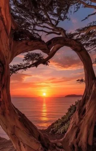 5c13f6baba06461aa4d5bd313561bd2a