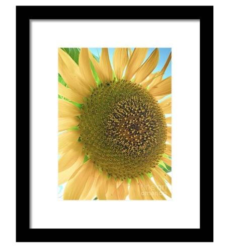 Screenshot_20260207_112241_Brave