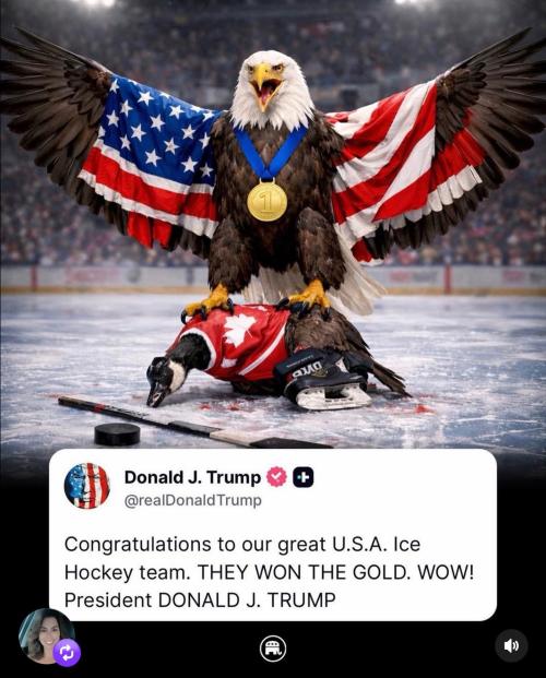 FB_IMG_1771789246762