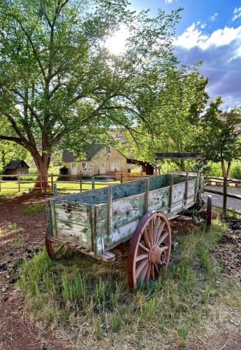 496862543_10213881880359354_9152540730837852877_n