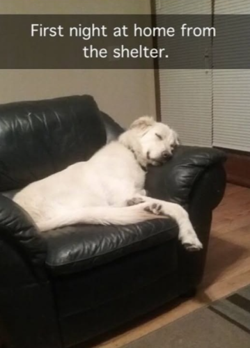 first-night-at-home-shelter