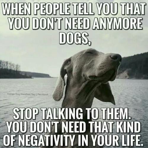 5e0c35a9f765c4b1ff9e04ea198a7954