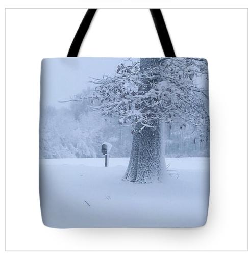 Screenshot_20260224_110927_Brave