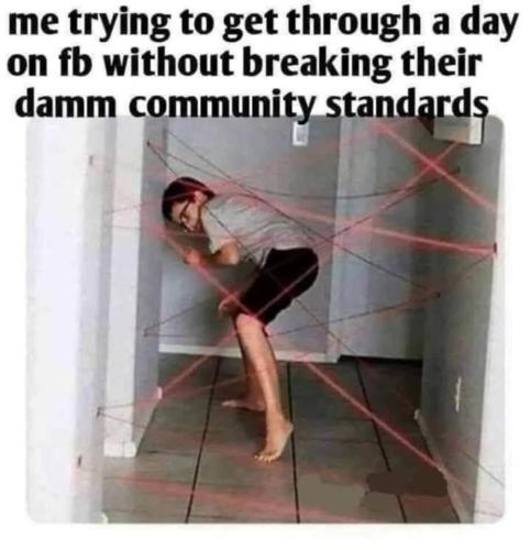 FB_IMG_1771161541146