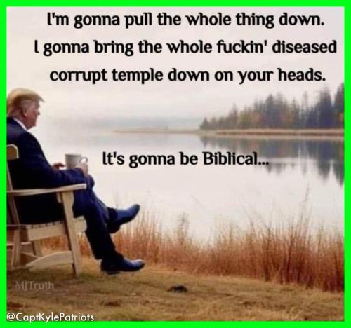 IMG_20260219_161226_647