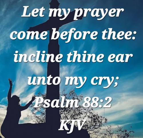 a454368d-0bc5-435b-a6eb-739b36e53a2e