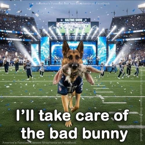 FB_IMG_1770577377677