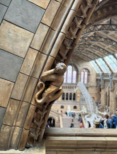 RDT_20260215_1608323055393391087913336