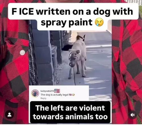 8f35187c3c363355a6821c459ae4c5fa