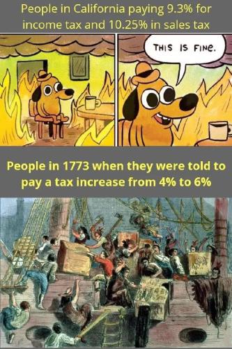 TESTHUB_photos_users_KPBY8Tc46ldqLjWXf6bqxqOW3AR2_-OlsT1IpOSRX6TZPalRF_img_rsz__1100x1100