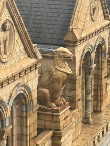 RDT_20260215_1605171170385319729082199