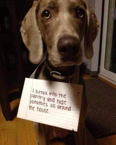 Screenshot_20260218_083151_Gallery