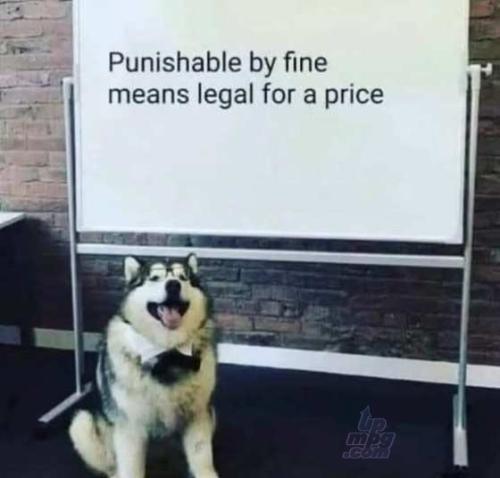 main-qimg-ceddc316ca5c305a20945ef8f1b738a2