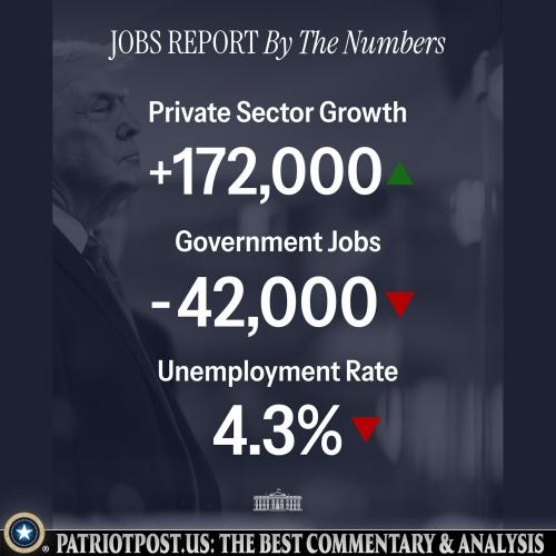 01KH896EFHYCGC8XGYBM3VAMPD