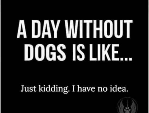 f9c6191a6e13ec18cb963fcb75651bb8