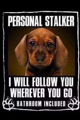 TESTHUB_photos_users_bmHZQ01h3OPah1JyslszzMfHIi22_vT8lAL07Ya2IbMs992JC_img_rsz__1100x1100