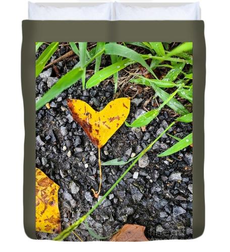 Screenshot_20260207_184629_Brave