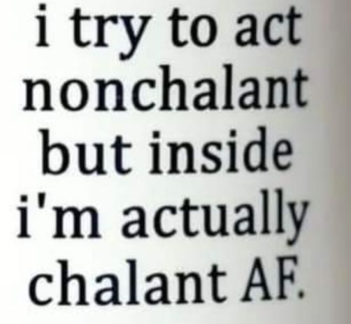 Screenshot_20260213_072353_Gallery