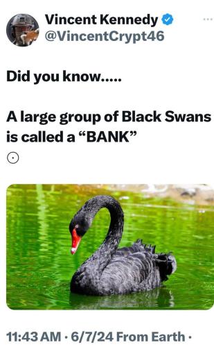 IMG_20260208_133154_388