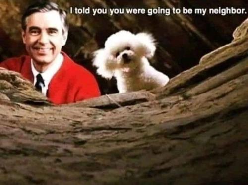 i-told-you-you'd-be-my-neighbor