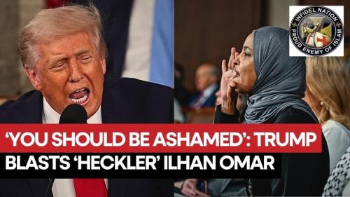 Democrats Behaving Badly. 768px