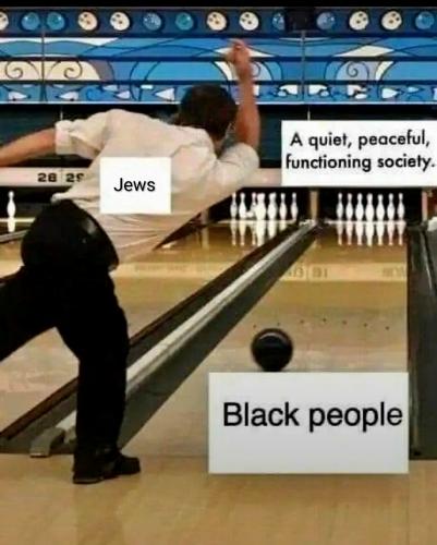 Screenshot_20260217_134041_Chrome~3