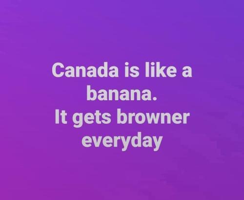 IMG_20260204_074414_408