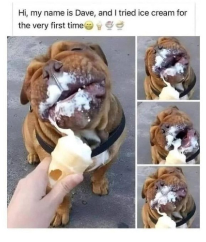hi-my-name-is-dave-and-tried-ice-cream-very-first-time