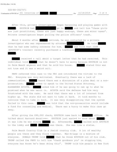 jeffery epstein trump  7