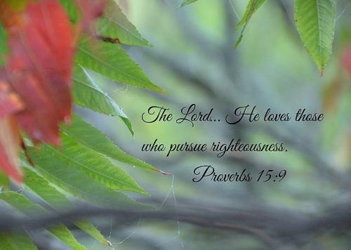 021326 - Lord love righteousness, Prov 15-9