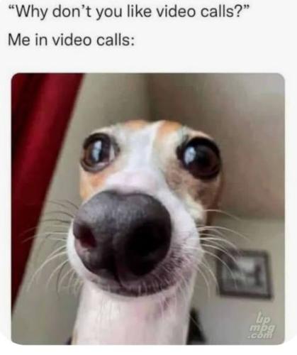 main-qimg-7d714dc6208a0eca7adf0758b0f8b772