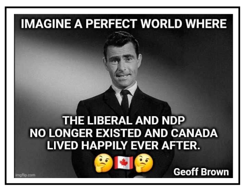 imagine a perfect world