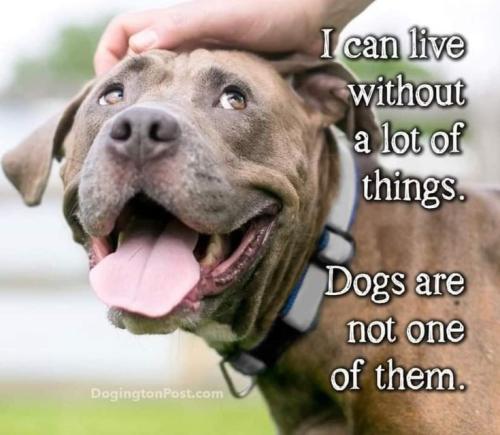 17c6dc13110da202e3a34e2ab6c9bcaf