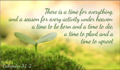 Screenshot_20260226-144845-012