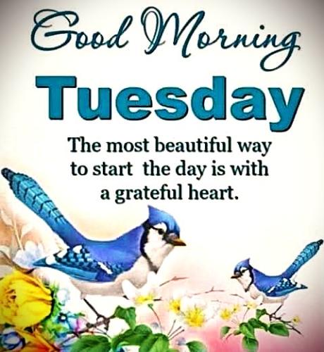 022426 - Grateful heart Tues.