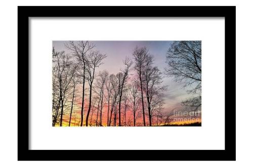 Screenshot_20260202_174247_Brave