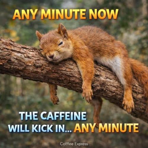 624415824_826685950414892_135051360170986263_n