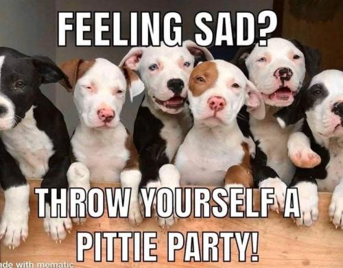 099dcd14c759328bd3dd4adaddd25138